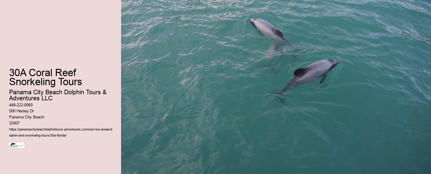 Snorkeling and Dolphin Combo Tours 30A
