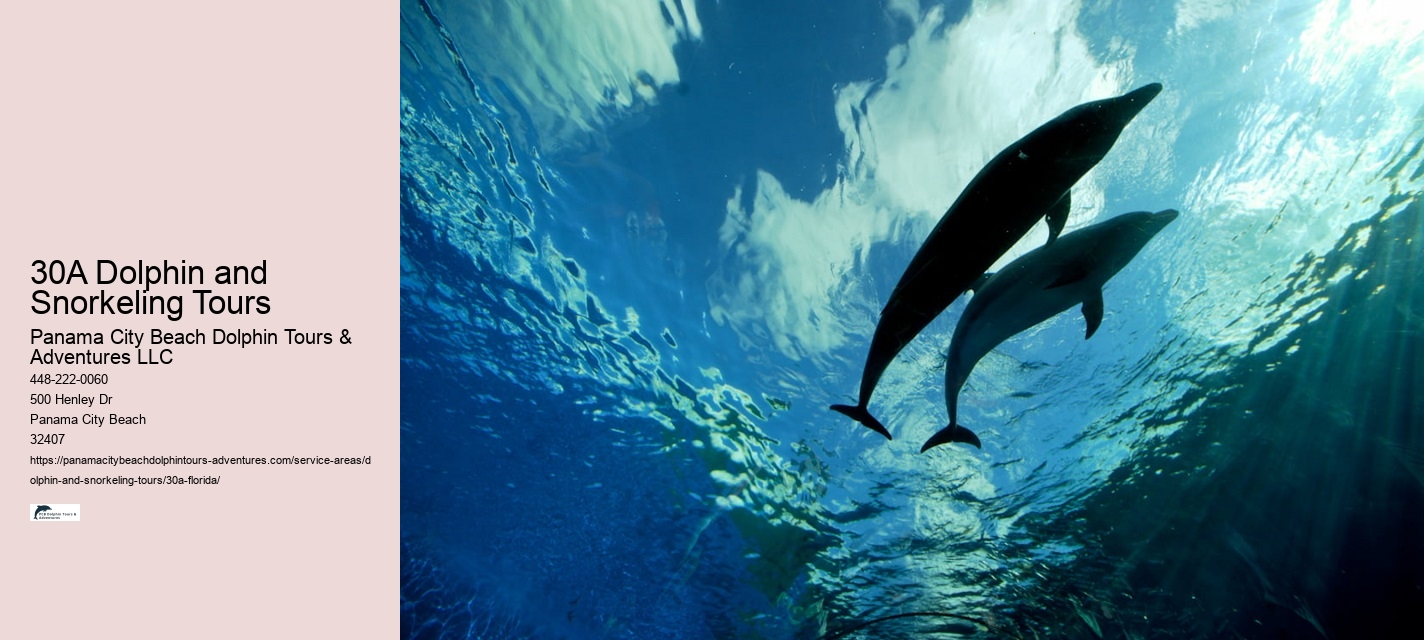 Florida Snorkeling Tours