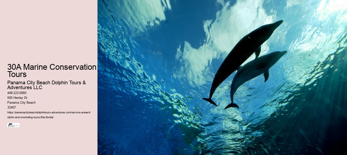 30A Marine Conservation Tours