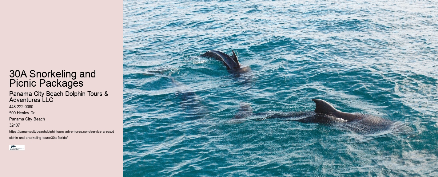 Dolphin Tour
