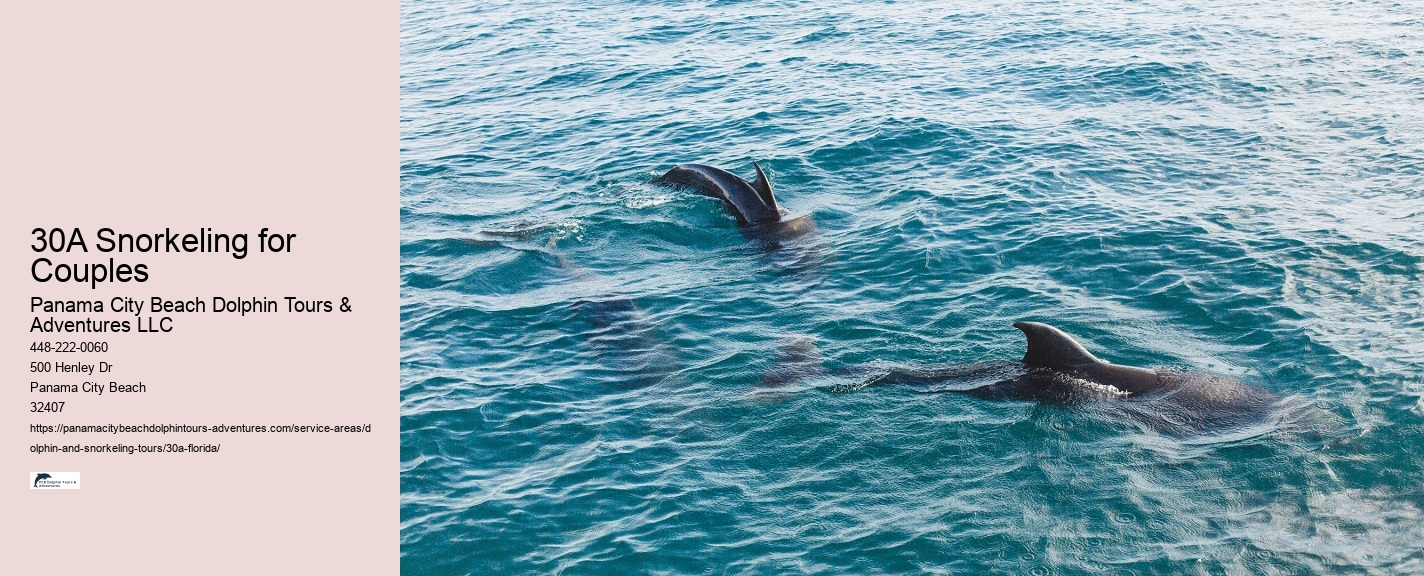 Where can you swim with wild dolphins in Florida