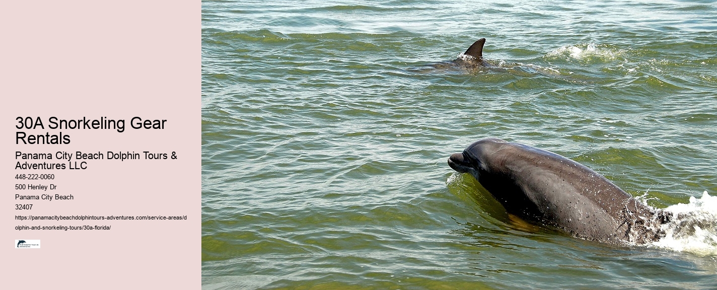 Boy On A Dolphin Watch