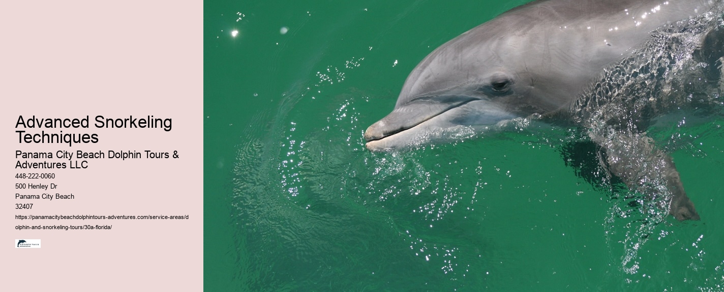 Snorkeling and Dolphin Tour