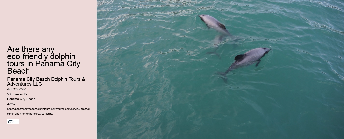 Dolphin and Whale Watch