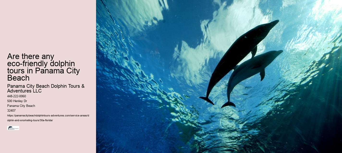 Dolphin Details