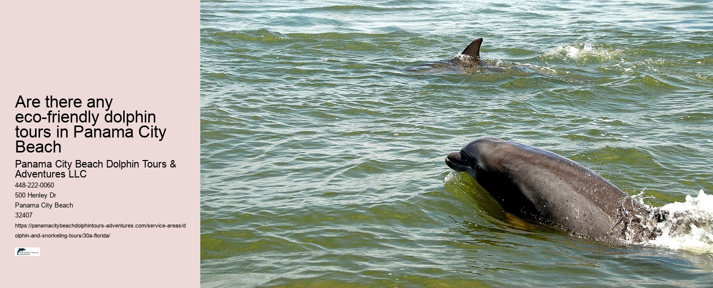 Beginner Snorkeling Tours Panama City
