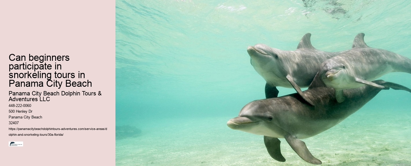 Snorkeling Tours Near Me
