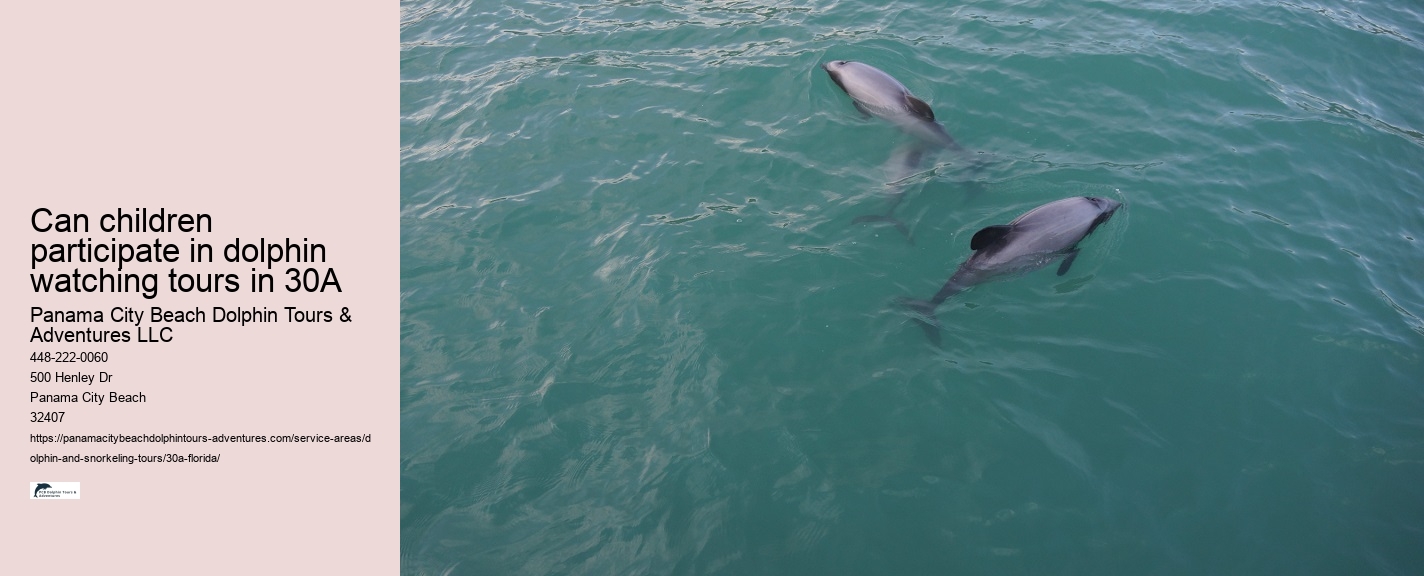 Panama City Beach Dolphin Watching Tips