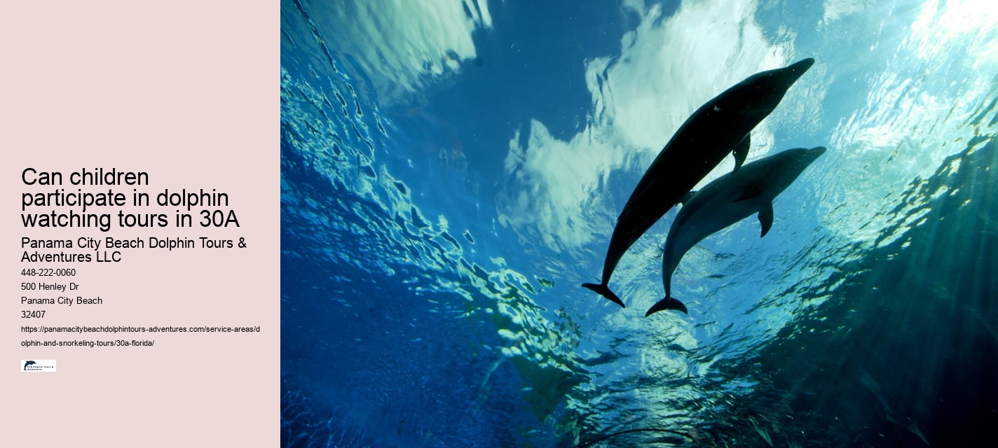 Dolphin Tours Adventures