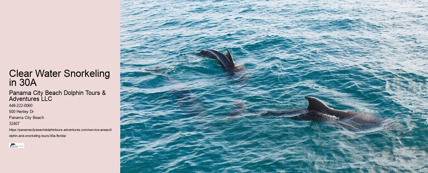 30A Shoreline Snorkel Tours
