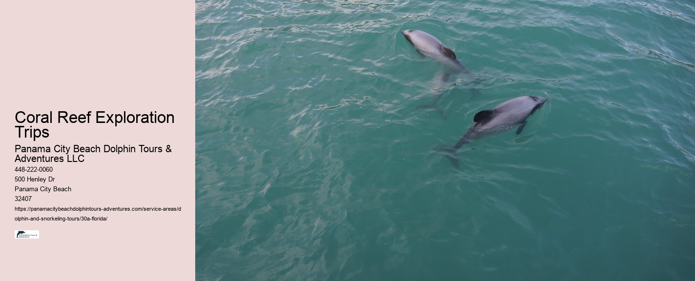 Best Snorkeling Tours In The Keys
