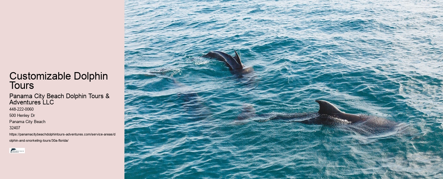 How To Watch A Dolphin Tale