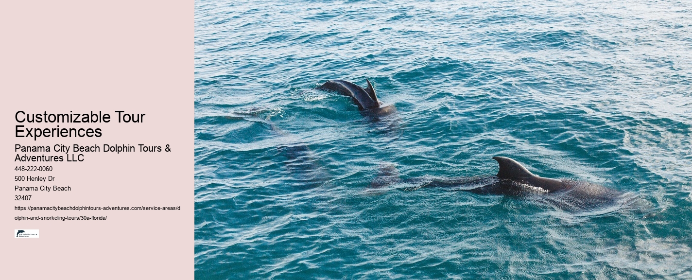 Snorkeling for Non-Swimmers