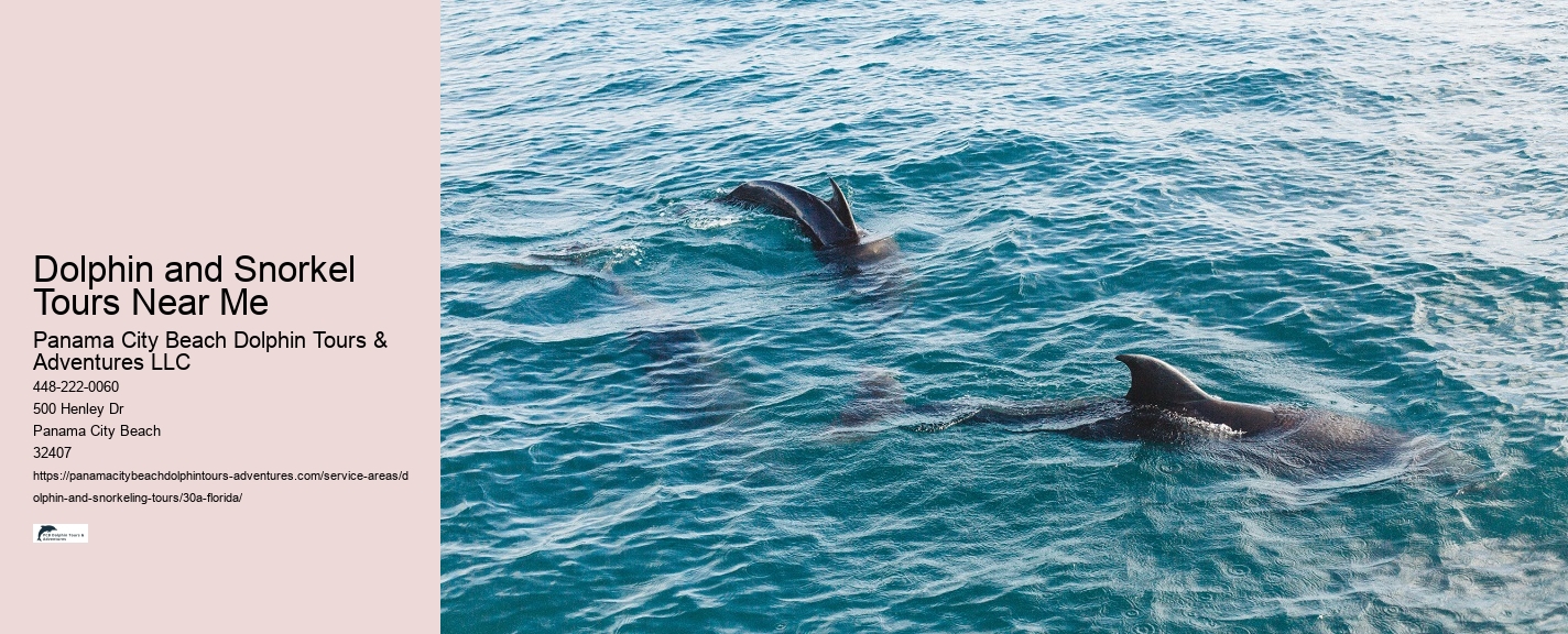 Can beginners participate in snorkeling tours in Panama City Beach