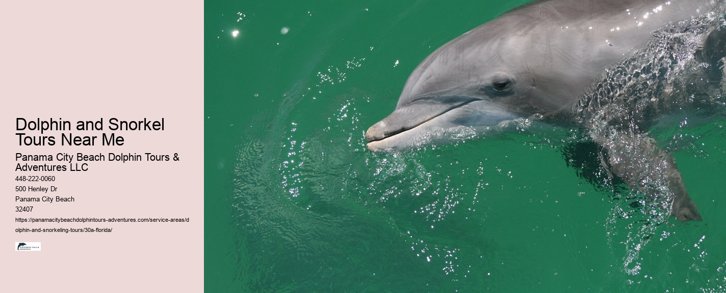 Dolphin Tours Panama City Beach