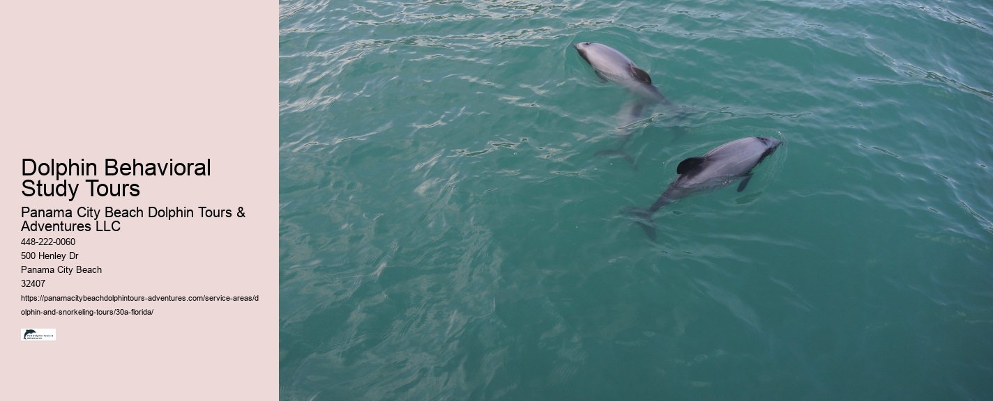 Destin Dolphin and Snorkeling Tours