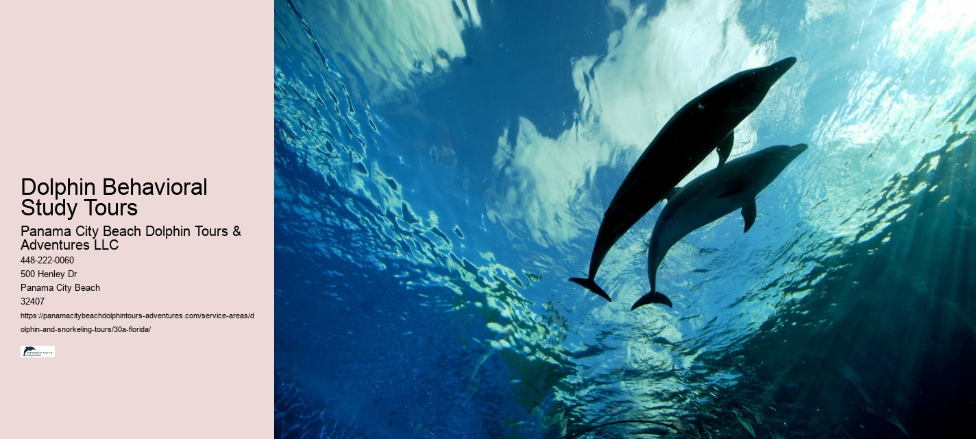 Dolphin and Snorkeling Tours 30a Florida Cost