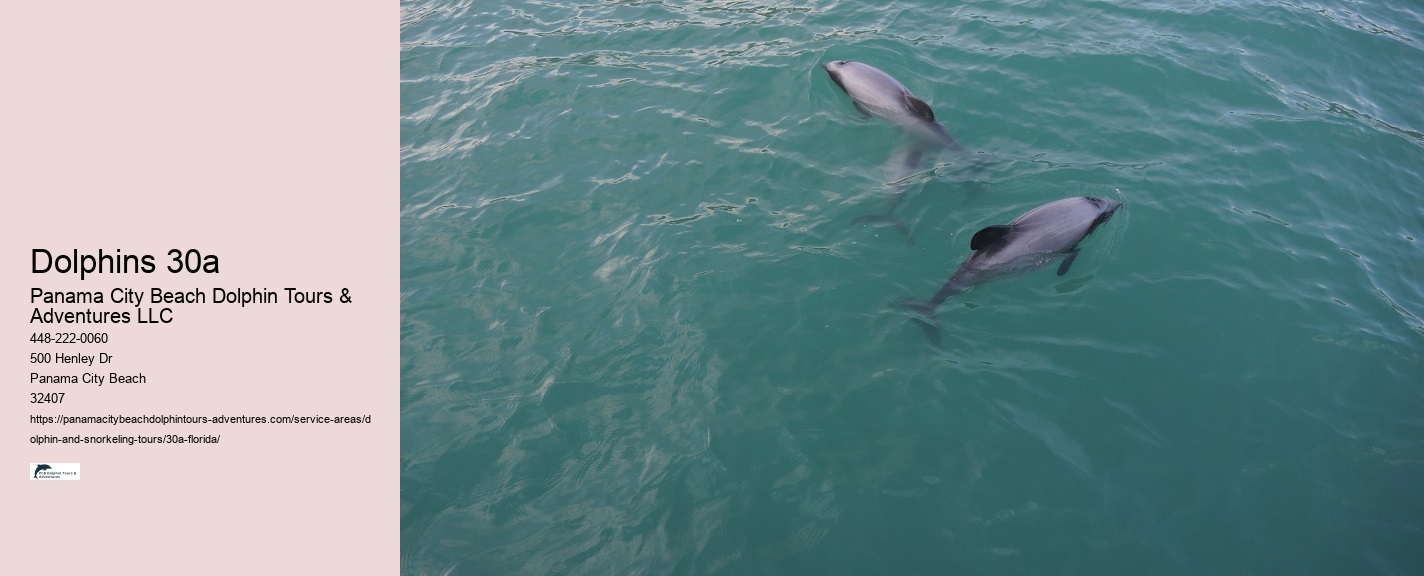 Snorkeling Tours Florida Keys