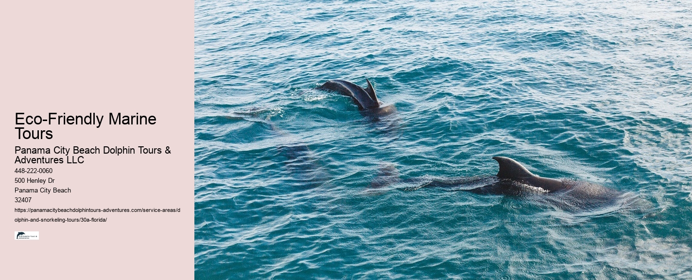 Group Discounts on Dolphin Tours 30A