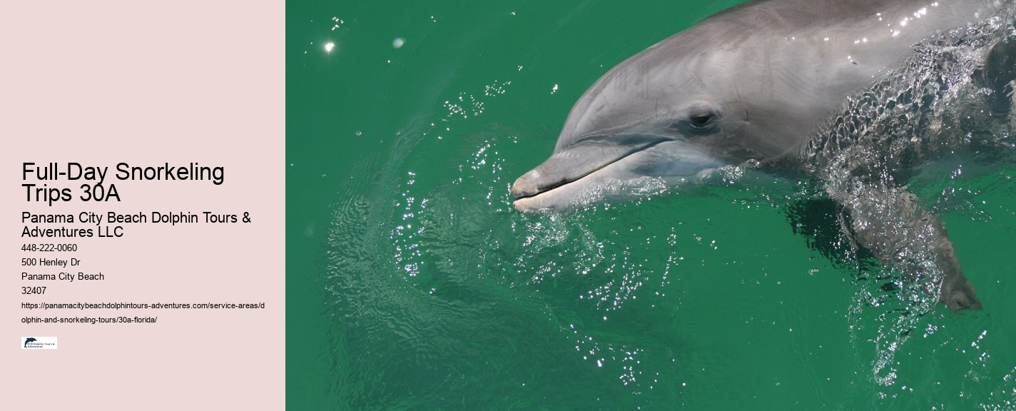 Panama City Dolphin Tours
