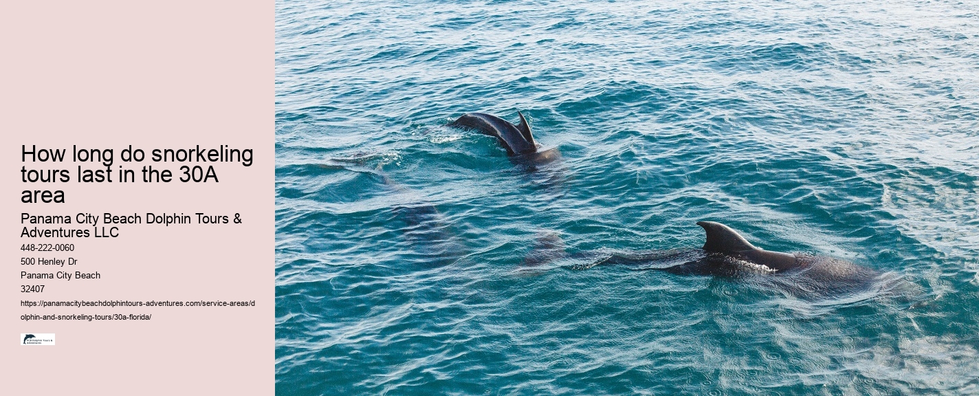 Submarine Dolphin Watch