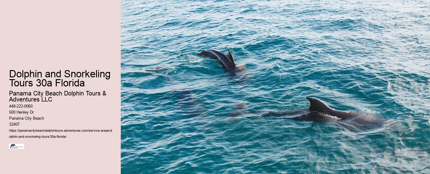 City Beach Dolphin