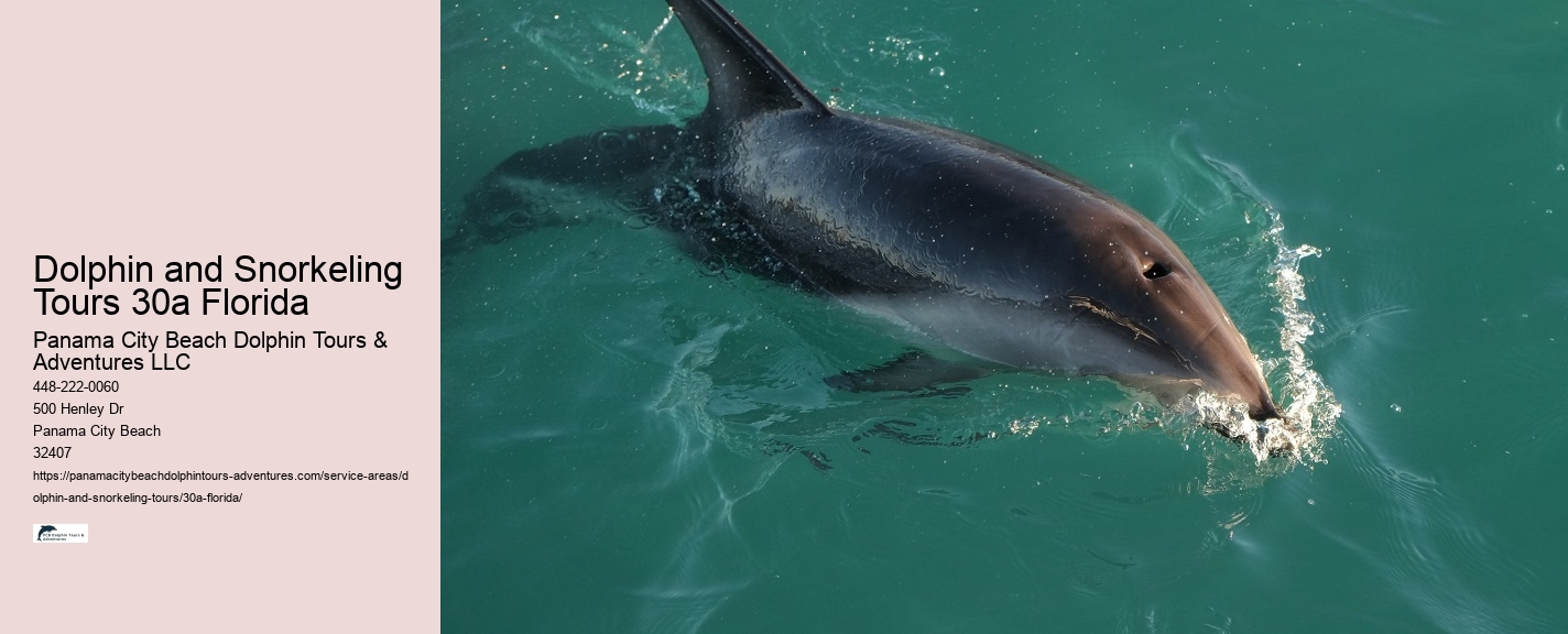 Difference Between Purpose and Dolphin