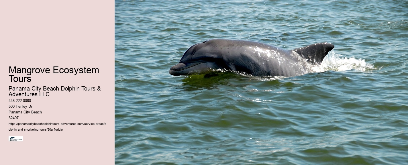 Boat Excursions 30a