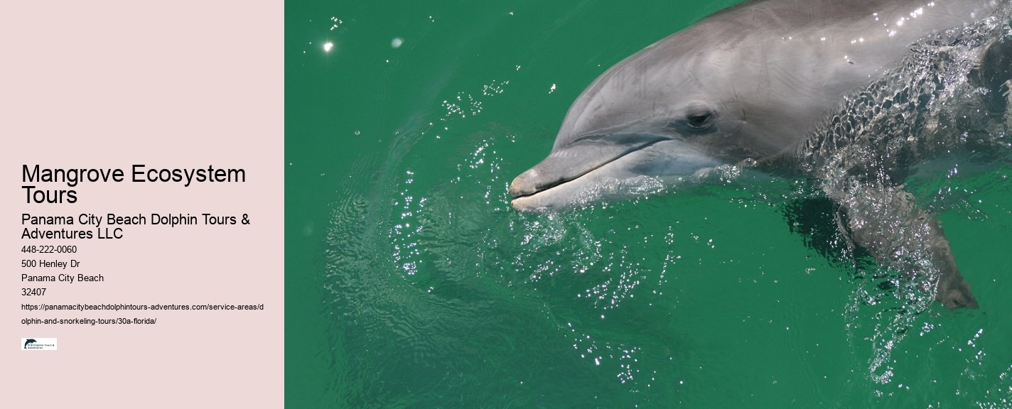 Blue Dolphin Tours