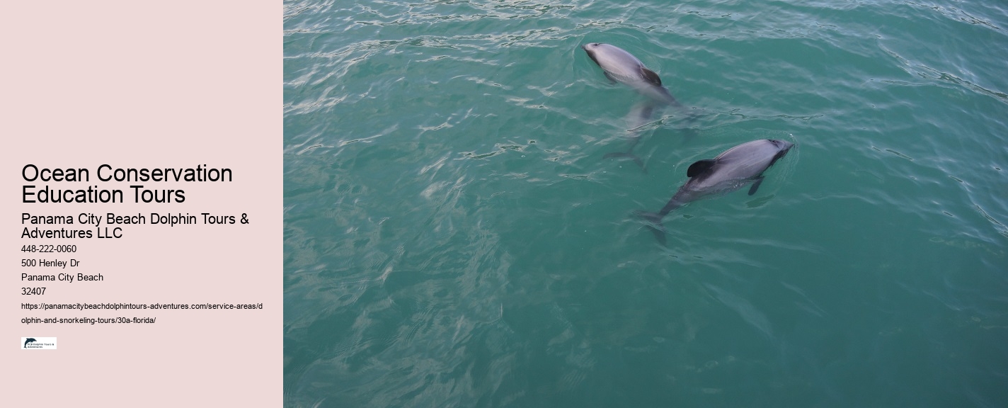 Custom Snorkeling Itineraries Panama City
