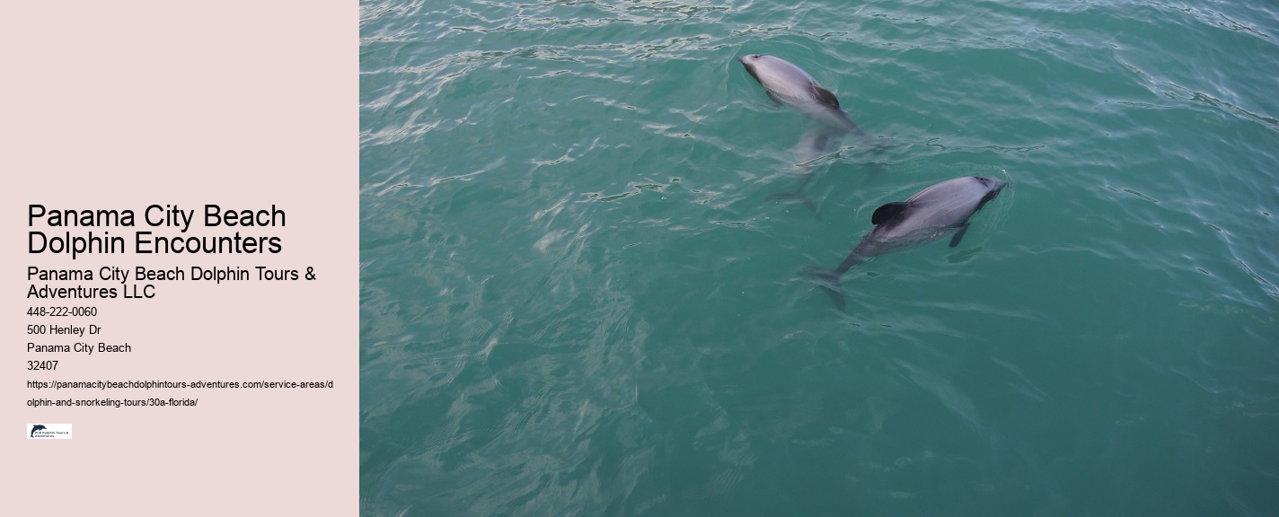 Private Dolphin Tours 30A
