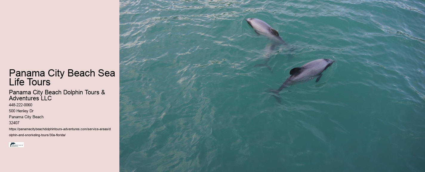 Are Dolphin Tours Safe