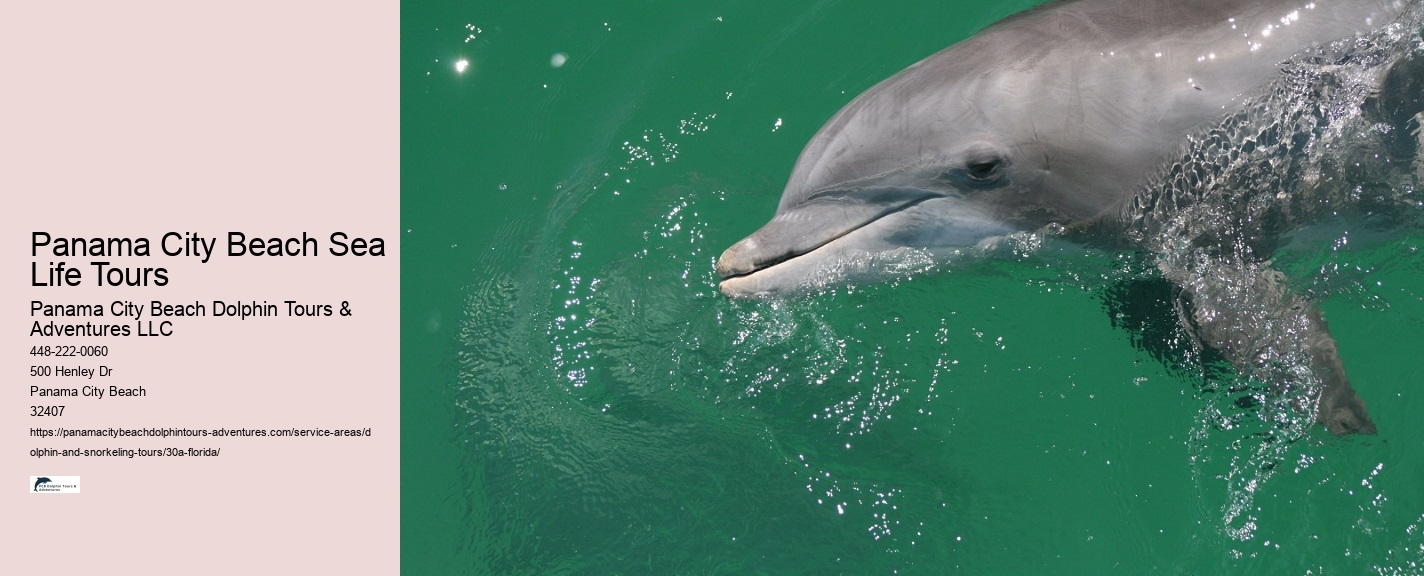 Underwater Photography Tours 30A
