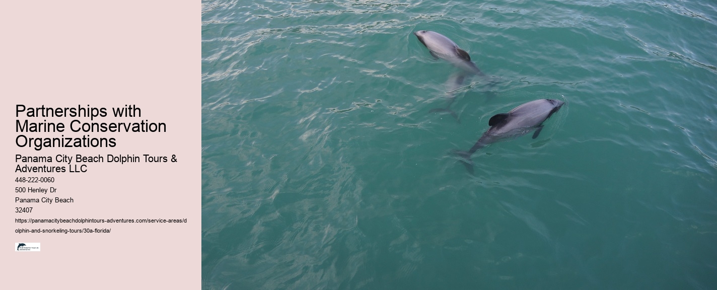 Private Dolphin Tours Panama City Beach