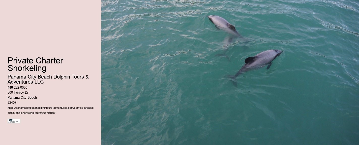 Do Dolphins Get Hit By Boats