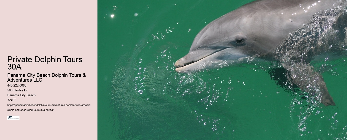 Panama City Beach Sea Life Tours