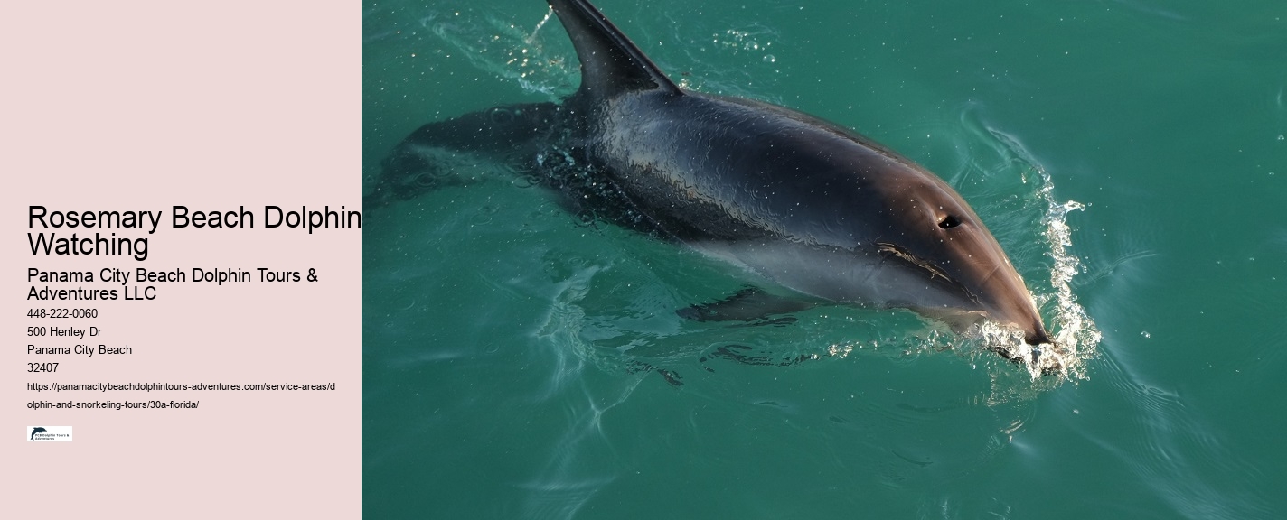 Excursions In 30a Florida