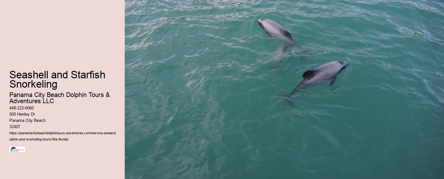 Dolphin Tours Pcb