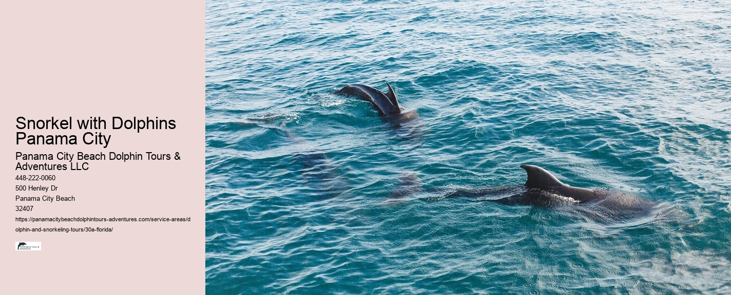 Scuba Diving In 30a Fl Prices