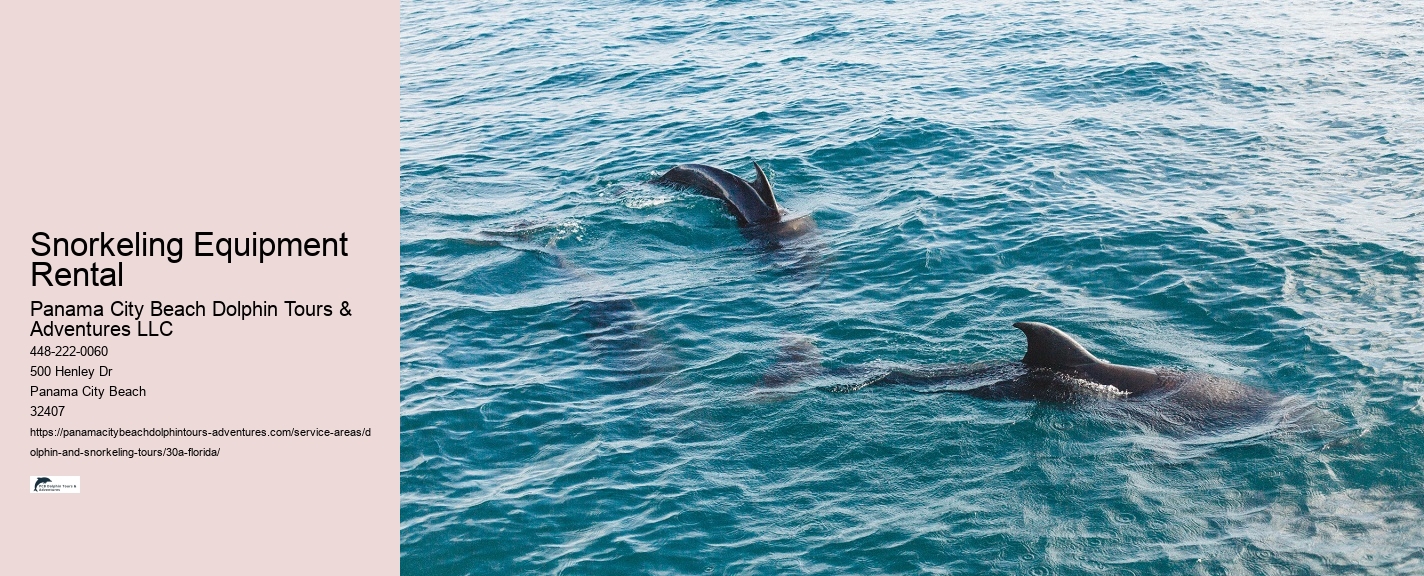 Rosemary Beach Dolphin Watching