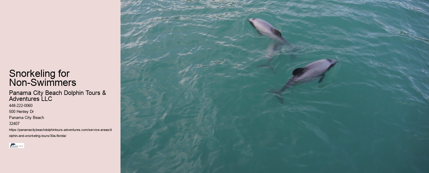 Dolphin Jet Boat Tour