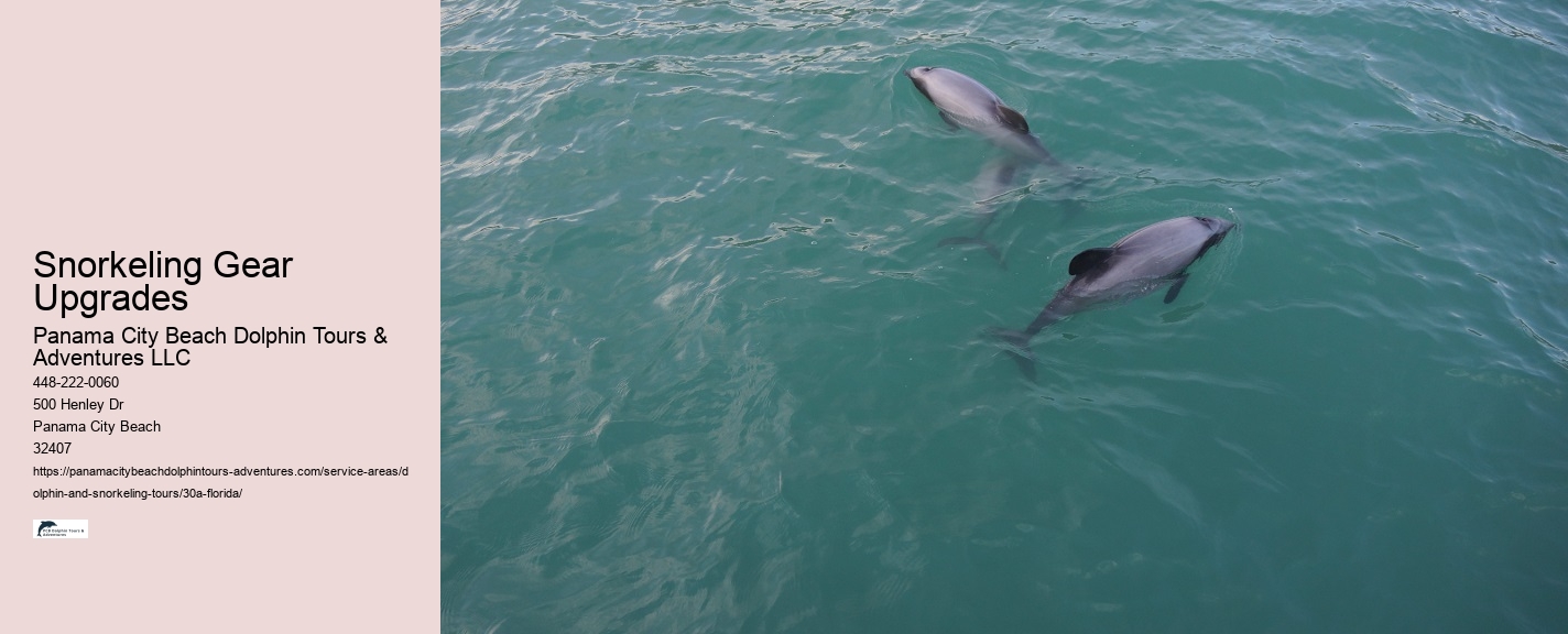 Family-Friendly Snorkeling 30A Florida