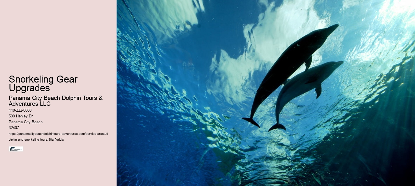 Dolphin Watch Boat Tours Near Me