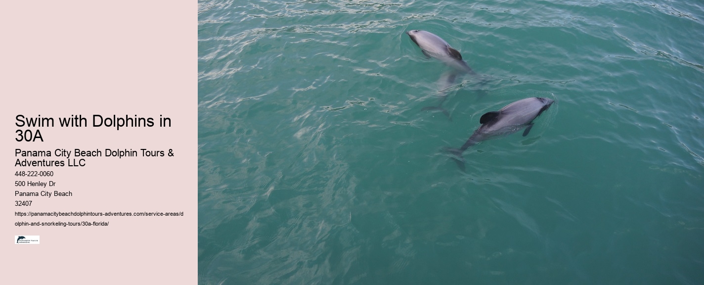 Snorkeling Tours 30a Florida