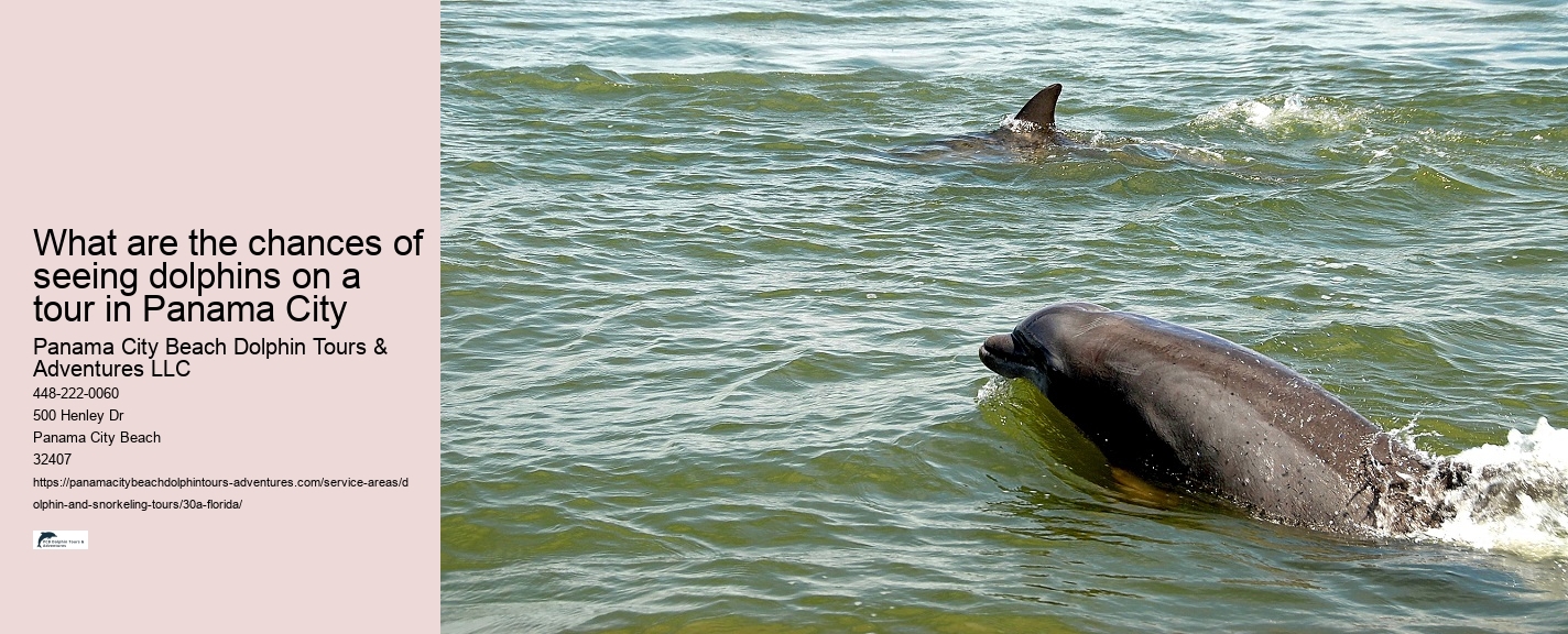 Underwater Dolphin Sounds