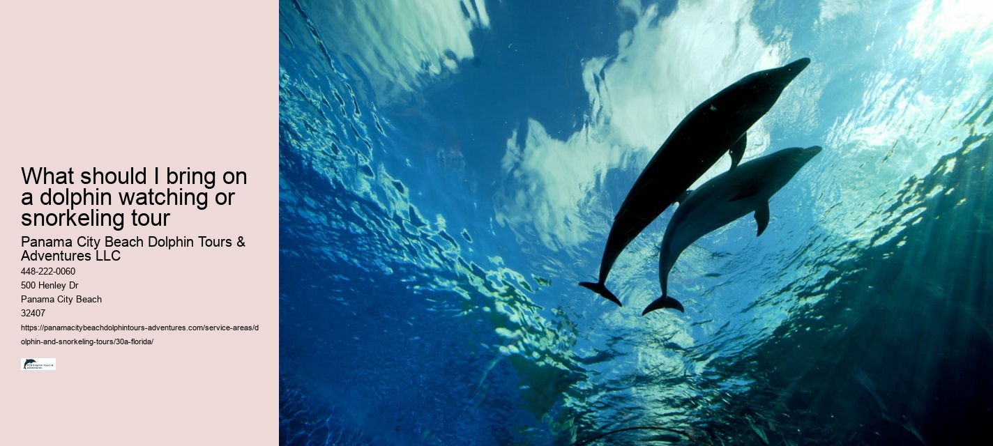 Salty Fins Dolphin and Snorkeling Tours