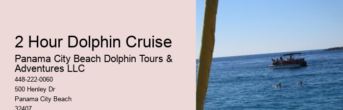 How much does a dolphin tour in Panama City Beach cost