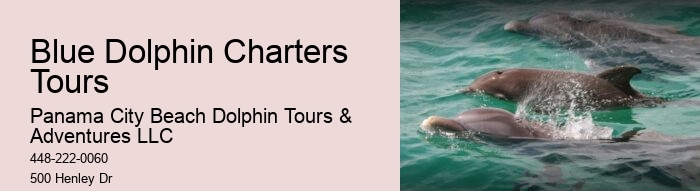 Dolphin Tours Destin