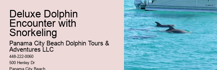 Dolphin And Snorkeling Tours Panama City Beach