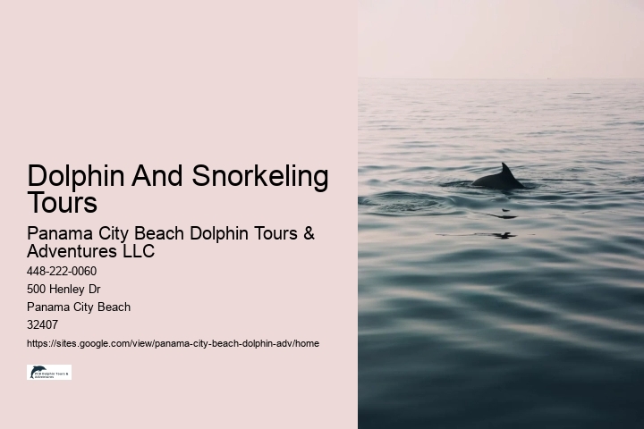 Where Is The Best Place To See Dolphins In The World